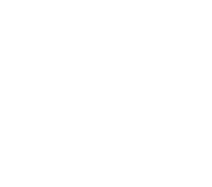Logo-jungledenim-diseño-de-jeans